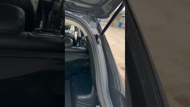 1000123362.mp4