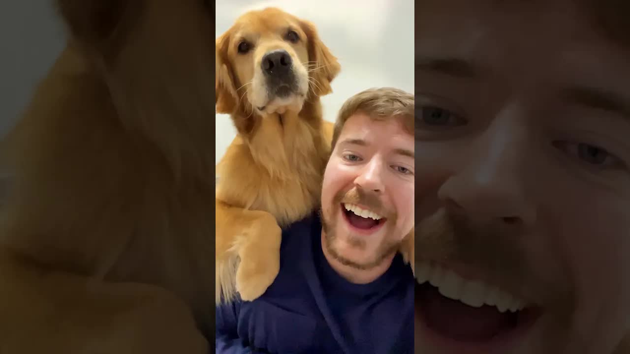 Самая Умная Собака в Мире! (Мистер Бист | Mr. Beast | Mr.Beast)