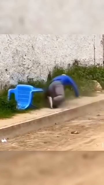 ЖЕСТЬ!!!!!!!