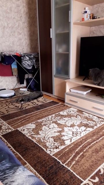 Мои любимки