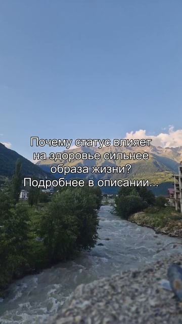 Почему статус влияет
на здоровье сильнее
образа жизни?
Подробнее в описании...
