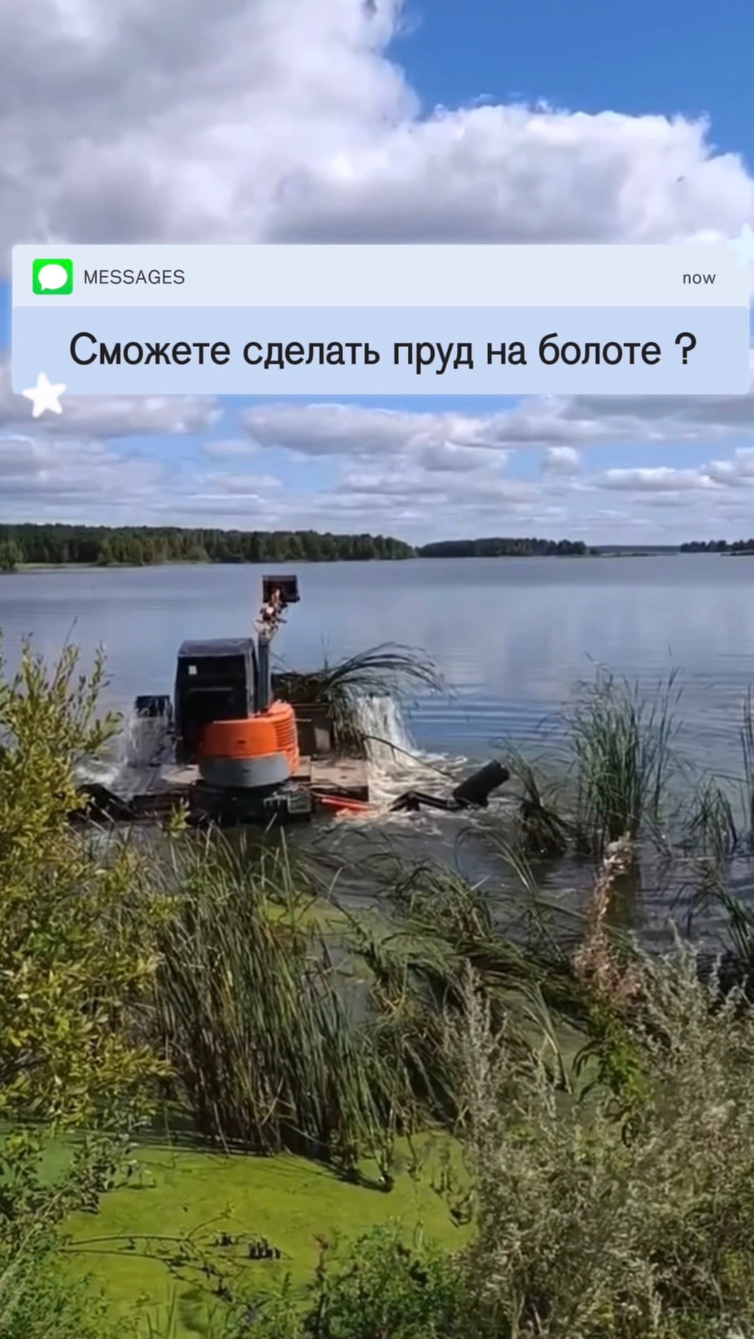 На месте болота теперь пруд