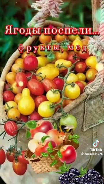 Доброе утро  хорошего дня 