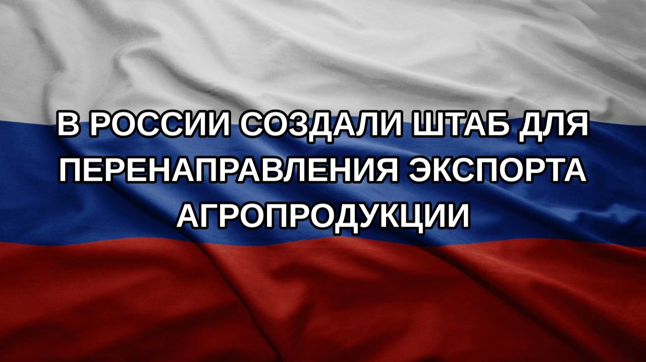 В России создали штаб для перенаправления экспорта агропродукции