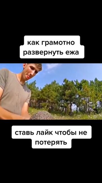 #смех#юмор#топ#рекомендации