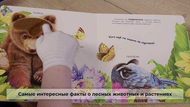 Лесные животные