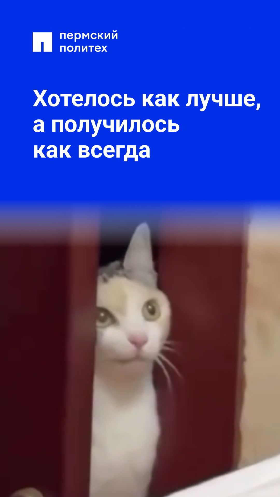Хотели как лучше, а получилось как всегда