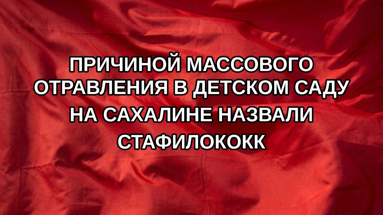 Причиной массового отравления в детском саду на Сахалине назвали стафилококк