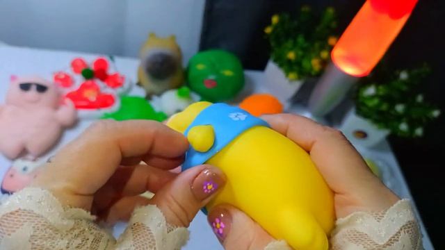 АСМР СКВИШИ лапки 🐾 приятные звуки АСМР сквишей 🥰 ТАБА СКВИШИ 🥰