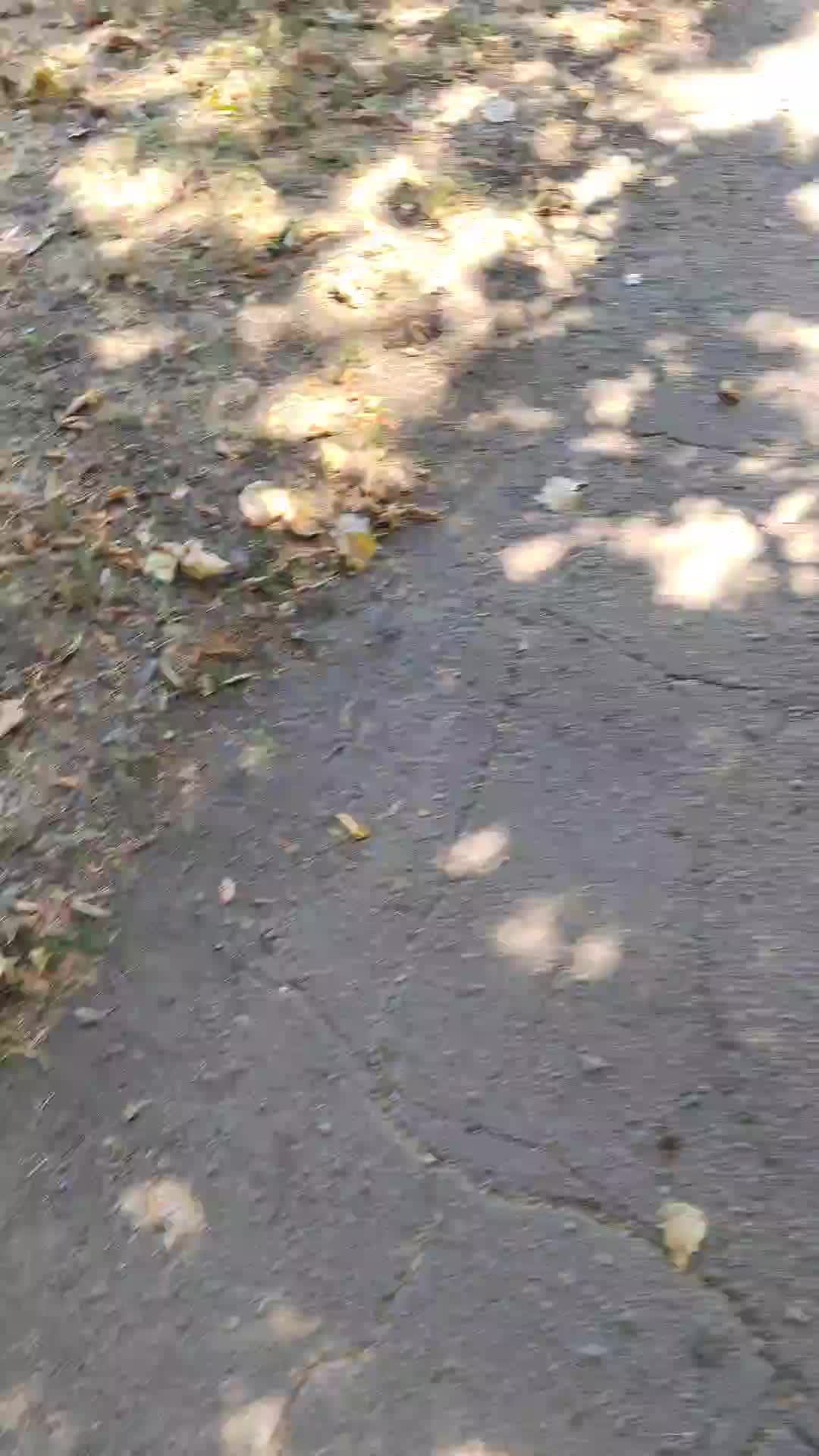 Донецк ДНР,хочу что-то сочного,озон 2204320468792355