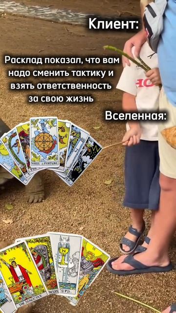 Расклад ещё и платный 😸