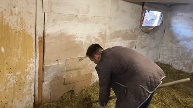 Пилю деревья, хочу электропастух.