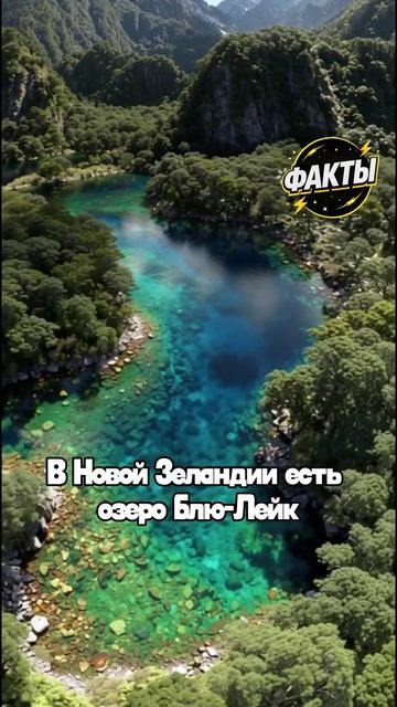 10 фактов часть 79