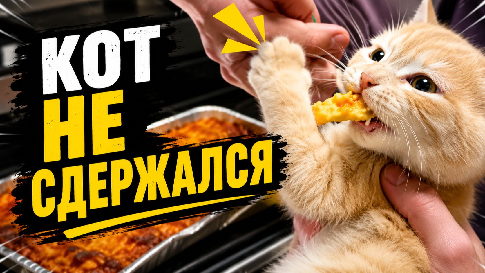Смех до слёз: лучшие приколы 317