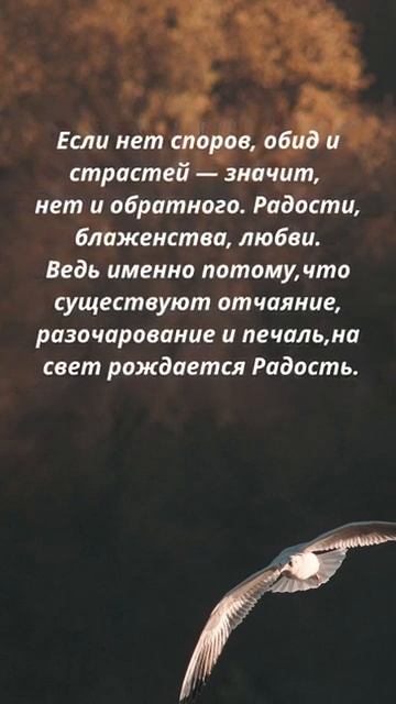 #shorts Цитаты/Психология отношений/ Мотивация/ Мудрые Советы Слова/ Фразы/Мудрые изречения