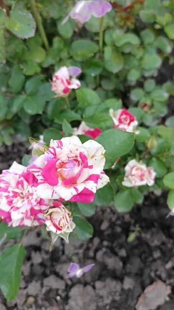 Доброе 💞Утро 💞