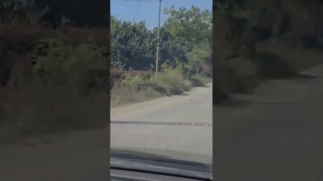 МАЛАЯ РОДИНА