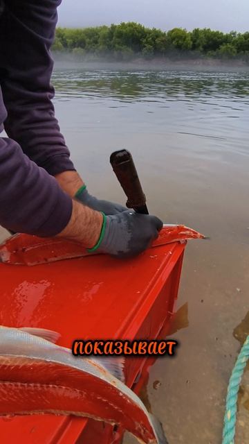 1000540985.mp4
