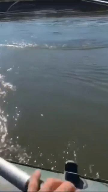 Чистый кайф... 👍