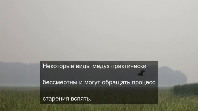сила знания о мироздании 17