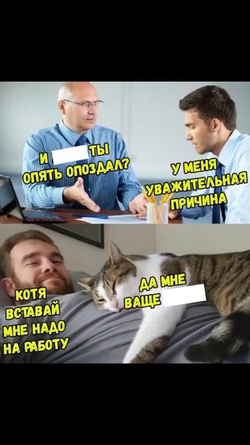 Лютые мемы. К экзамену готов