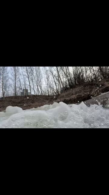 ручей в лесу