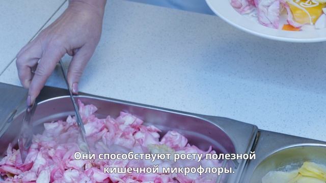 Врачдиетолог АлтайWest  о том как собрать идеальную обеденную тарелку