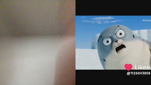 1000019307.mp467