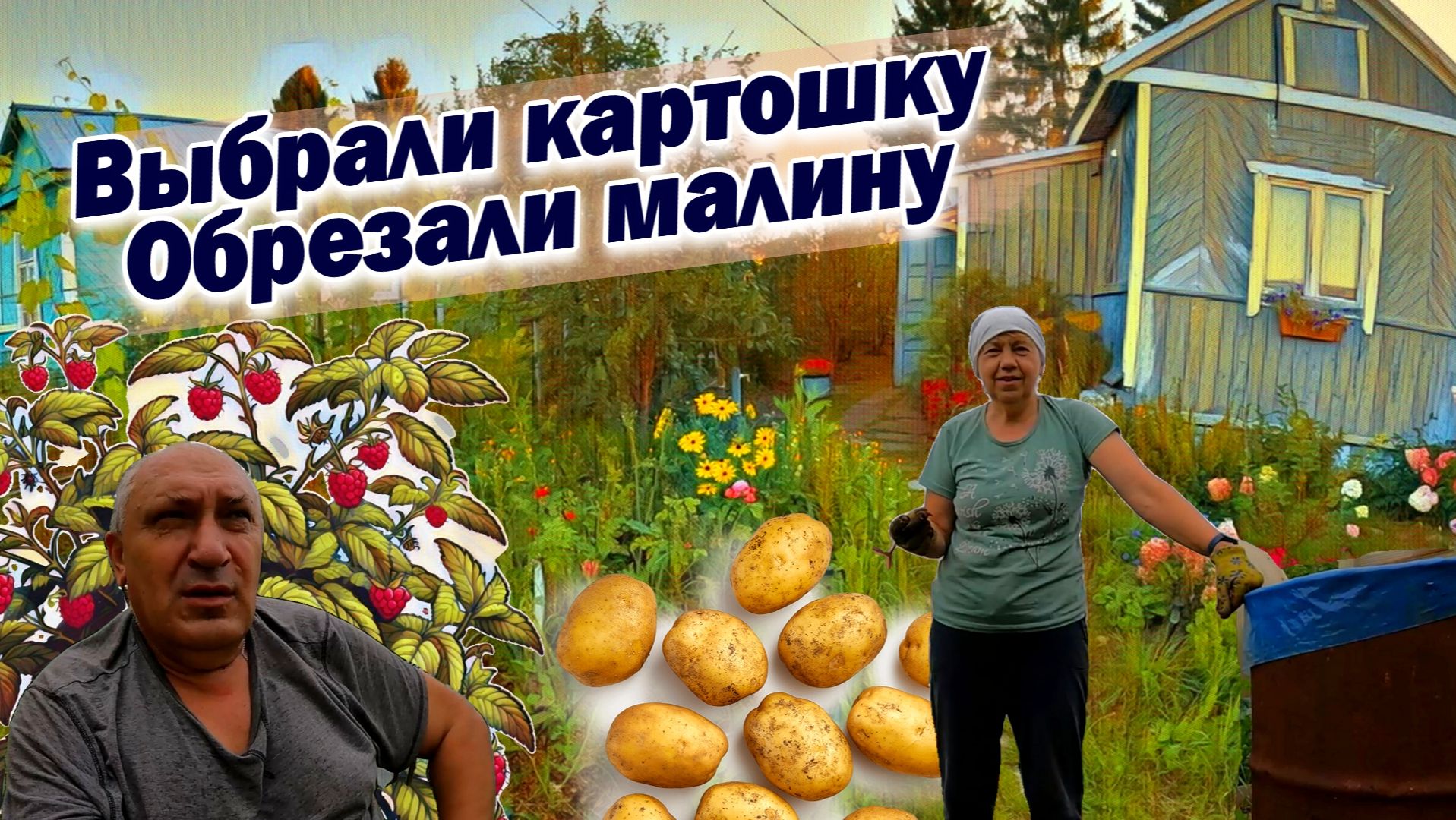 Выбрали картошку Обрезали летнюю малину