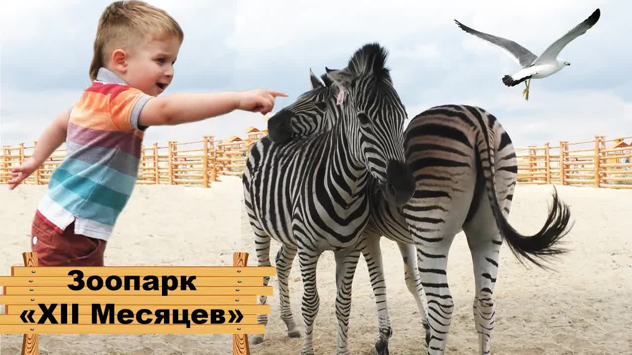 ★ Зоопарк 12 месяцев Демидов Киев Счастливые дети в зоопарке 
