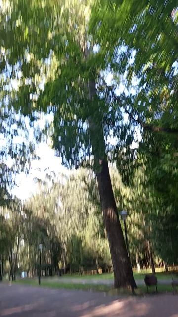 20260825_093700.mp4