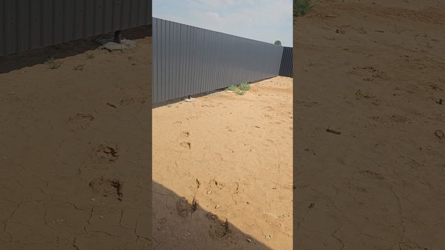 16090.mp4