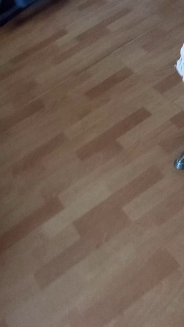 VID_20260825_16461025.08.2026