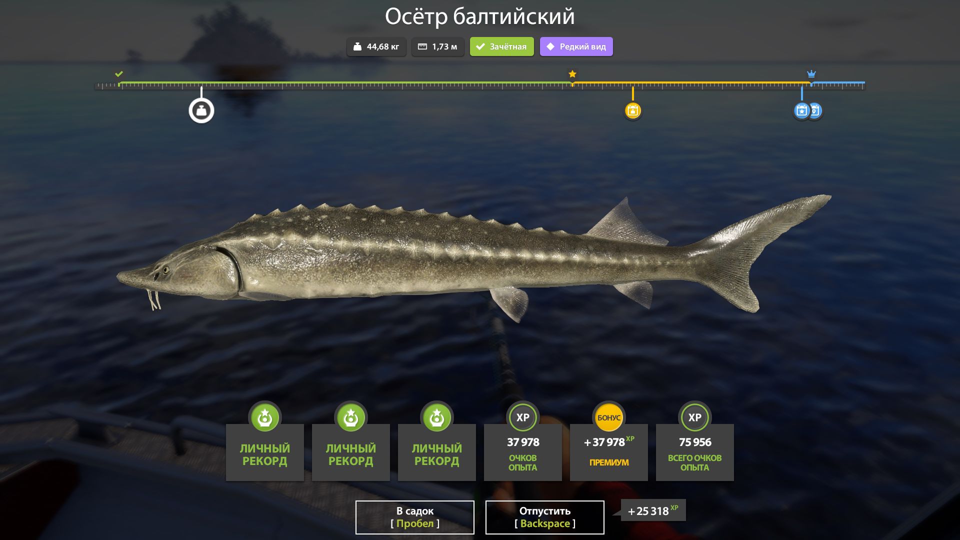 ЛАДОЖСКИЙ АРХИПЕЛАГ!!!ЭТОТ МОНСТР УНИЧТОЖАЛ МЕНЯ МОРАЛЬНО - РУССКАЯ РЫБАЛКА 4