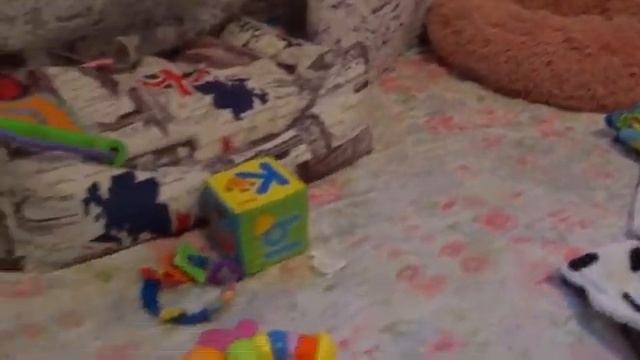 Казаки-разбойники Не обошлось без Дези Беспокойное хозяйство