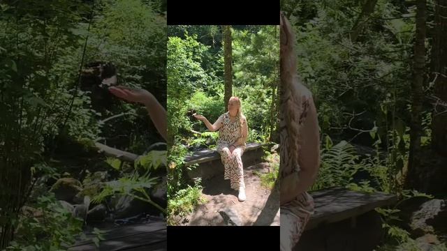 1000147630.mp4