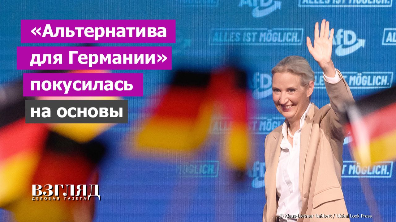 Германия хочет выйти из Шенгена. Ставки на выборах в ФРГ растут. Заявление Алисы Вайдель