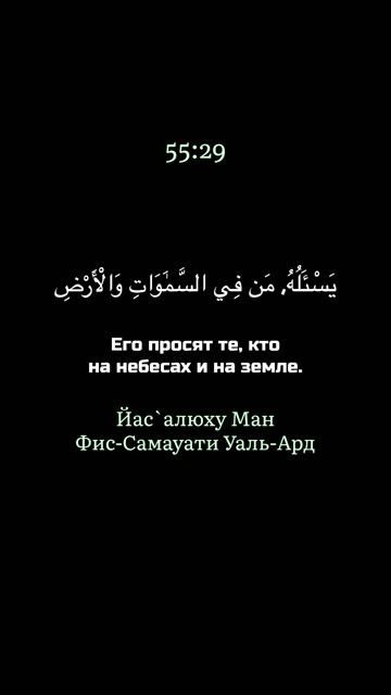 чтец Корана: Умайир Шамим / 55 сура «Ар-Рахман» Аяты 26:32