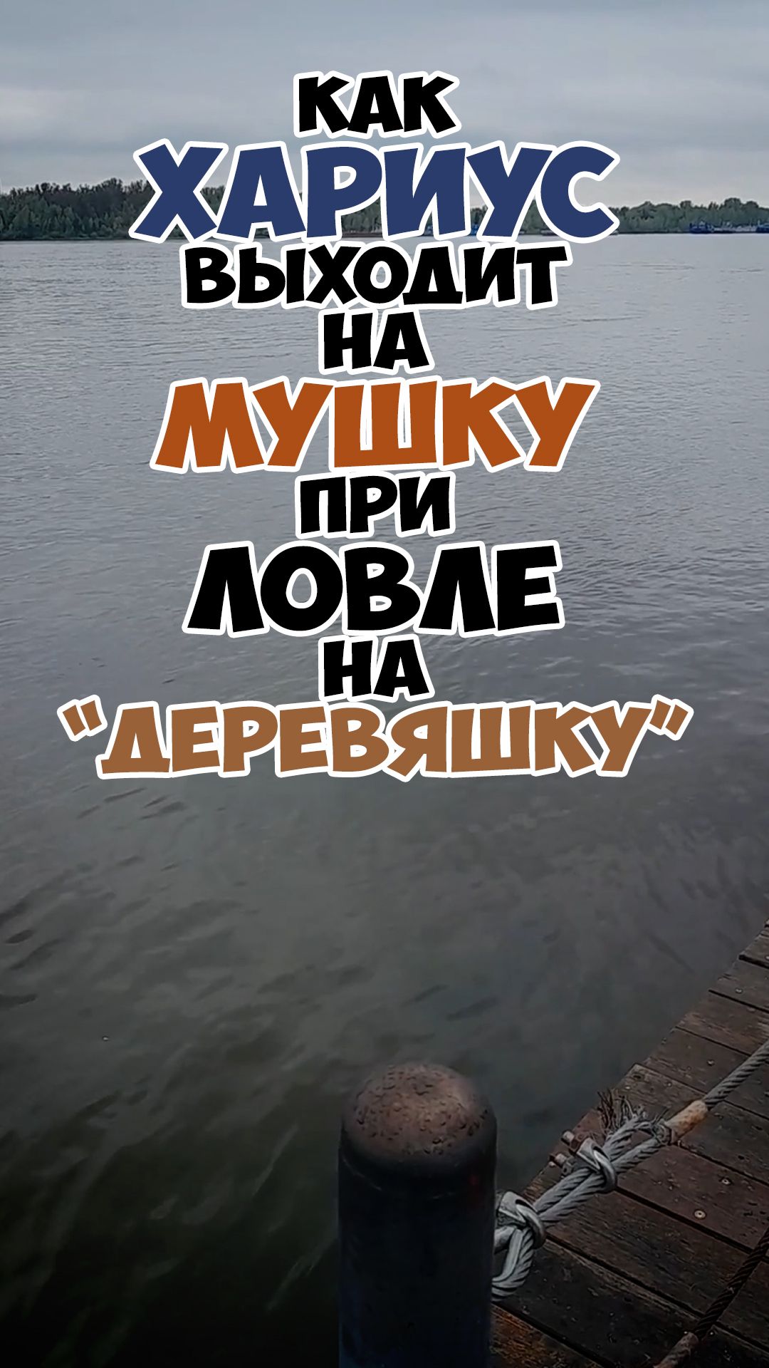 Как хариус выходит на муху при ловле на деревяшку.