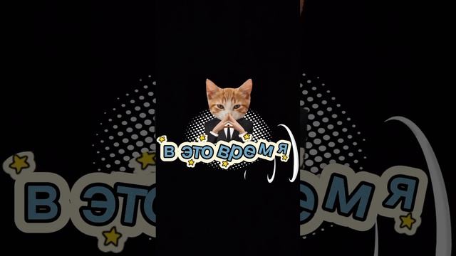 отчасти Lego фильма были ещё 1.0 и коты