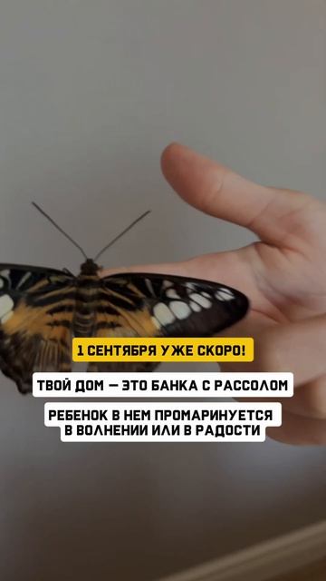 дом - банка с рассолом?.. это как? Читайте в описании