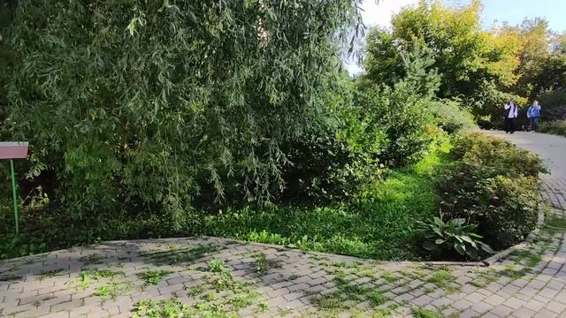 Челябинск красивый летний город. 14.08.2026г
