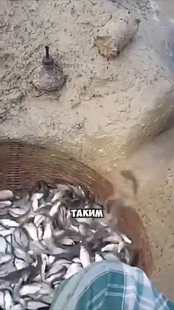 #смех#юмор#топ#рекомендации