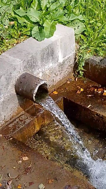 Родниковая вода в деревне Грызлово 25.08.26.