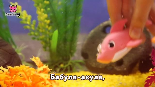 Акулёнок из Пластилина | Акулёнок  | Песни про Животных | Пинкфонг Песни для Детей