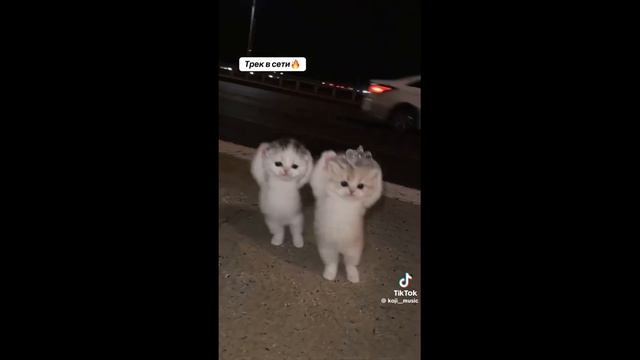 Я тебя украду