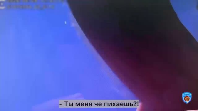 Севастополец примчал защищать сожительницу от сотрудников Госавтоинспекции