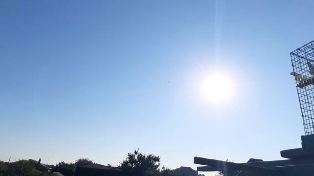 24.08.26 г. Андижанская порода голубей (1)