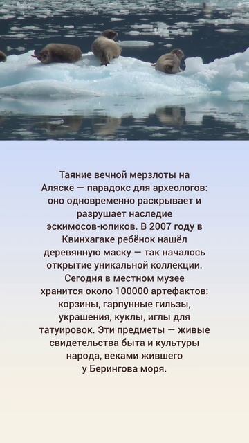 Когда лёд открывает прошлое: археология юпиков на Аляске ✨