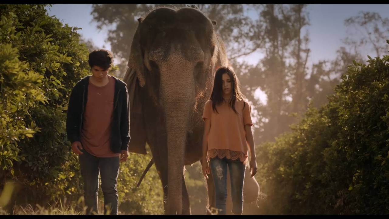 Побег с Фионой (2018) / Saving Flora